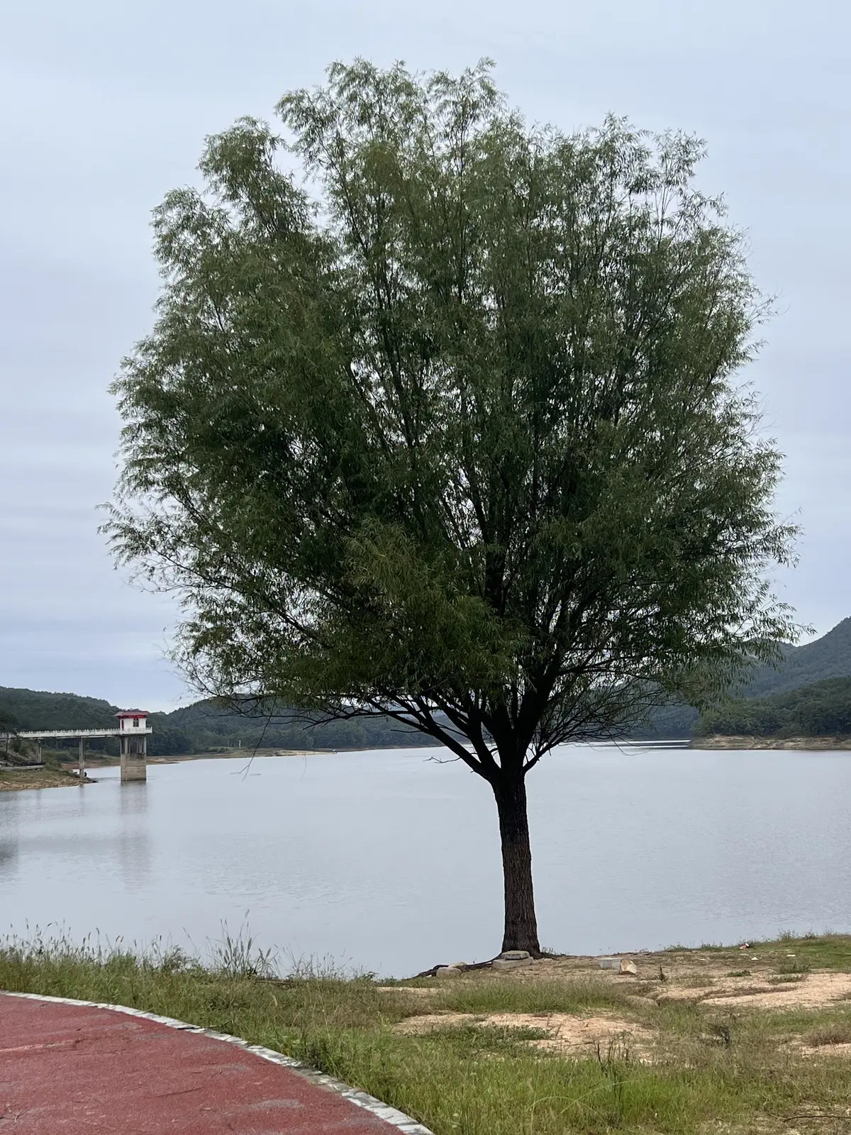 Resize,w 360,h 240