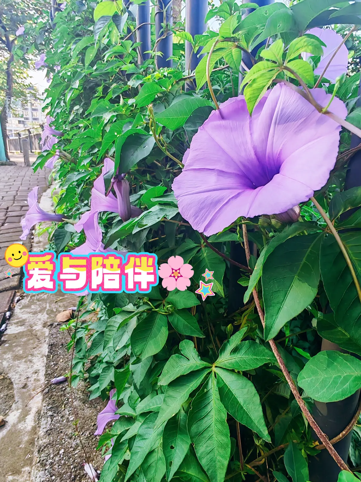 Resize,w 360,h 240