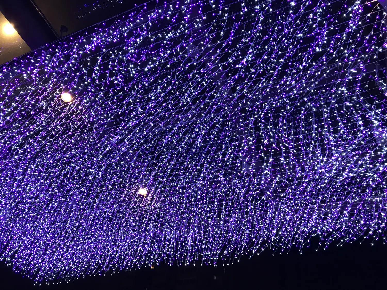 Resize,w 360,h 240