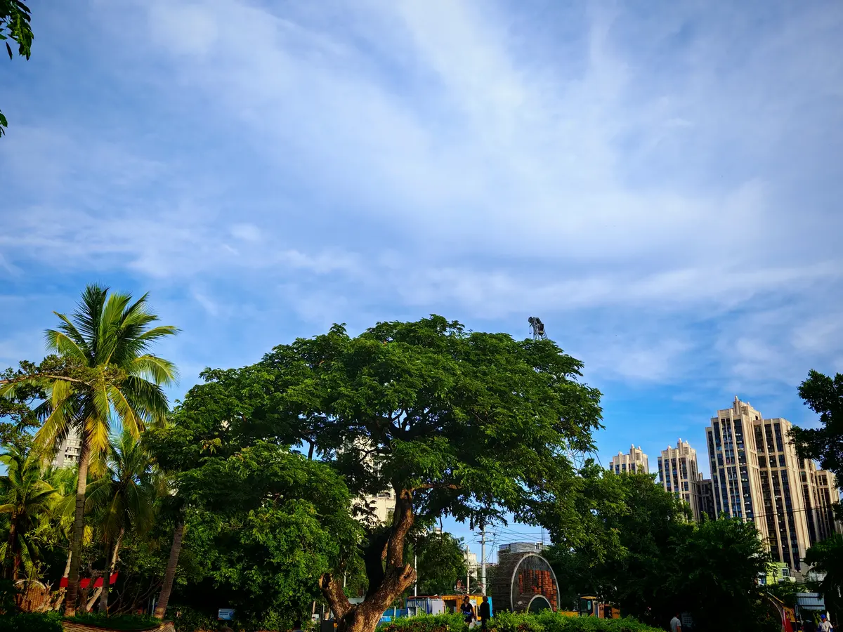 Resize,w 360,h 240